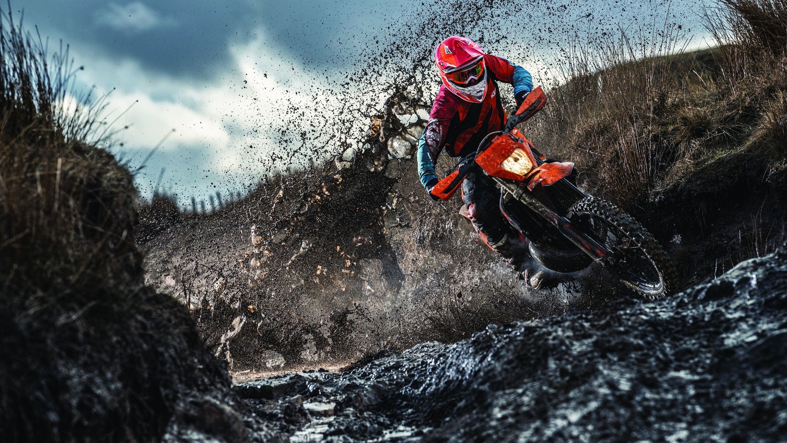 仰泳项目比利时选手节奏稳定，仰泳 backstroke 2017